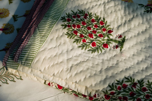 Gulnaar — Beautiful Blossom